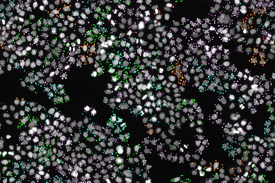 Large-scale optical screening