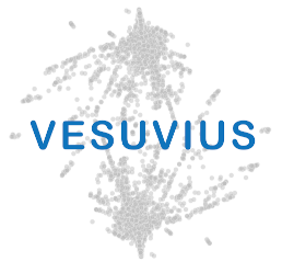 Vesuvius Database